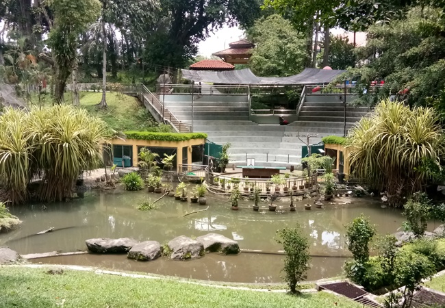 bird show arena