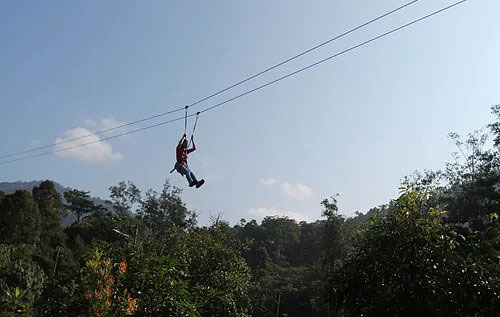 flying fox