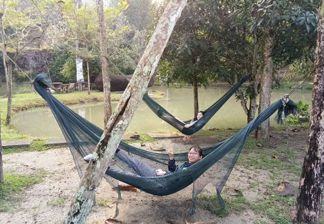 hammock available